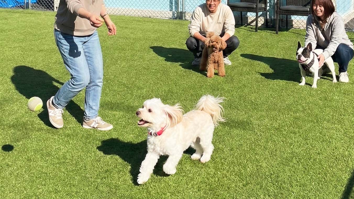 楽しそうな愛犬の笑顔